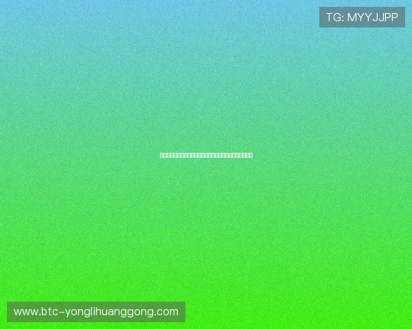 新濠博亚官网最新登录入口及安全指南帮助玩家顺利进入平台