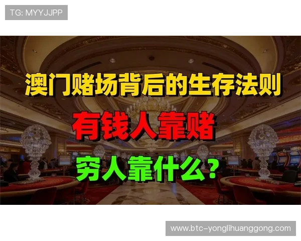 澳门六大赌牌持有者名单公布，了解各大赌场背后的运营实力与背景