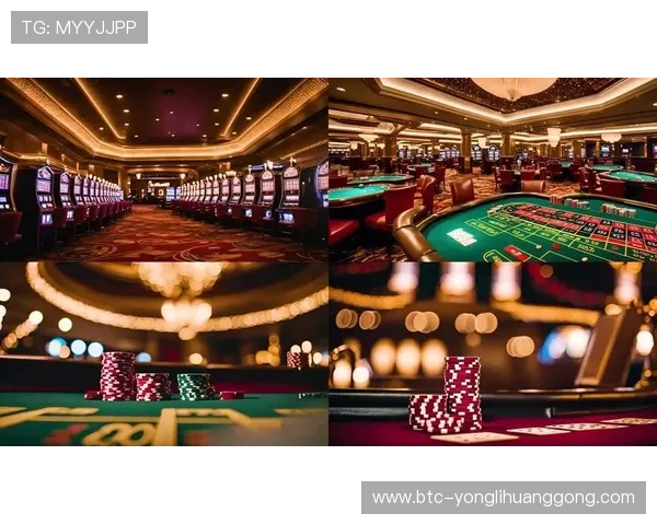 澳门各主要赌场的赌厅数量及其特色介绍，为游客提供实用的参考信息