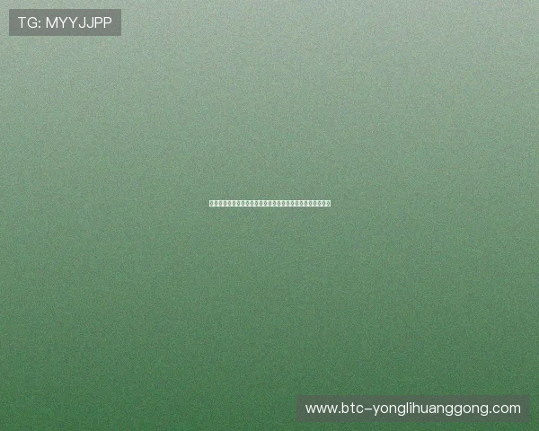 澳门永利在线娱乐体验指南让新手快速上手享受极致游戏乐趣